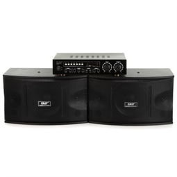 先科SA 810K 家庭KTV黑金刚（产品主标题+功能亮点+好物评测）以黑色之声点亮影院激情